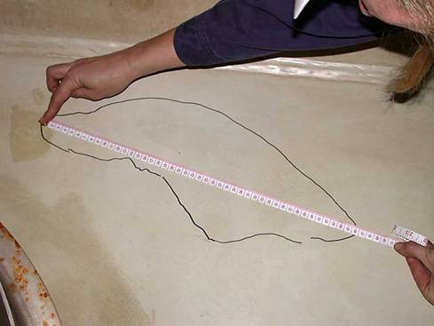 Outlining damaged areas.